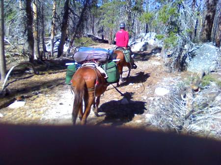 Horseback in Carson Iceberg Wilderness