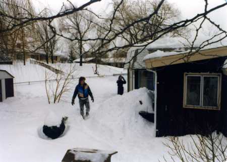 Rodway Backyard