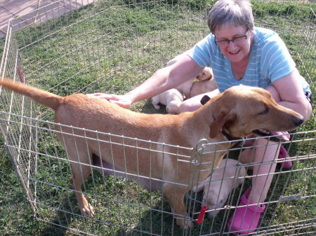 May 2011 Annie, 7 puppies, and me