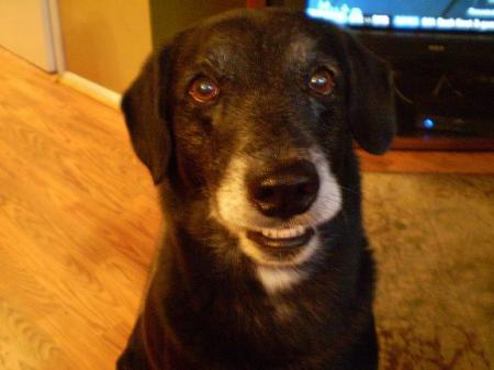 Payton Showing off his Pearly Whites :)