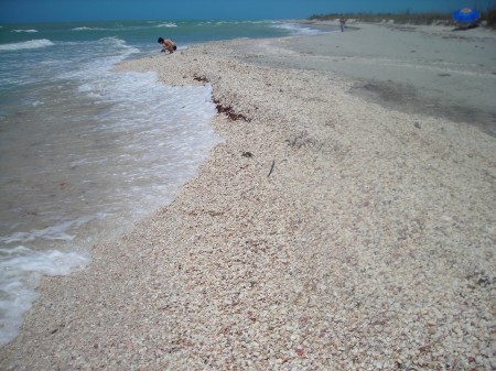 Sanibel Island FL