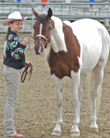 4-H horse show 6-2010