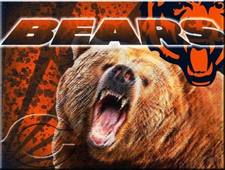 Da Bears!!!!!!!!!!!!!!!!!