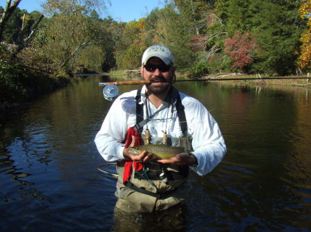 Nice Brown trout