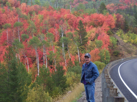 Fall in Idaho