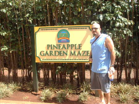 Worlds Largest maze (Hawaii)