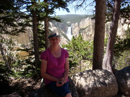 Lower falls at Yellowstone National Park 7-08