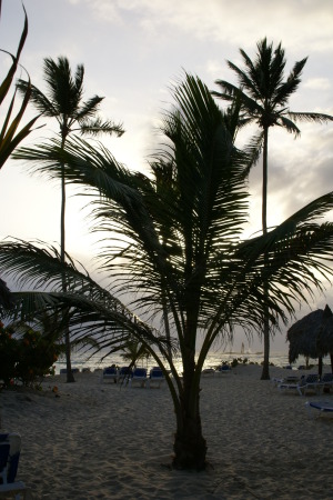 Beach in Punta Cana