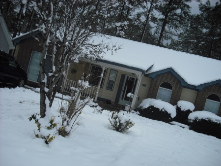 Jacksonville Snow 2010