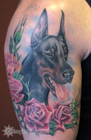 Doberman