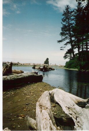 Washington coast