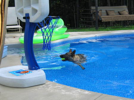 Ceara taking a swim