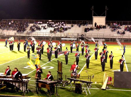 Our Mighty Marching Lions