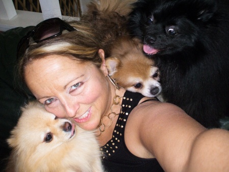 My Pomeranian "Babies" & I August 08