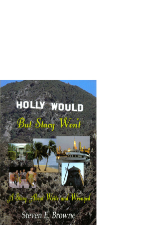 Holly Would, But Stacy Won't  book cover