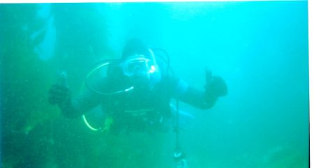 Scuba Diving 2007