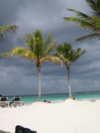 View from my lounger in Mexico