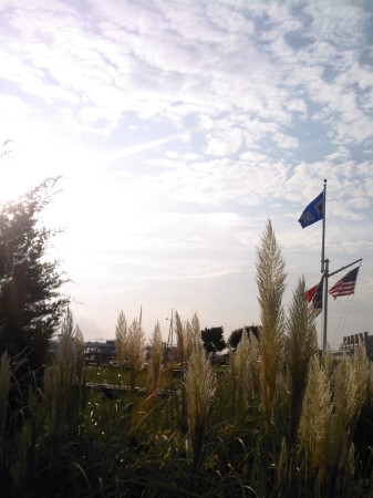 Beaufort, N.C., Flags