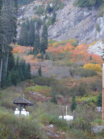 Fall at Alpental