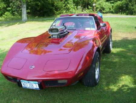 81 Vette