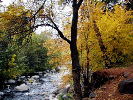 Oak Creek Canyon - Northern Arizona