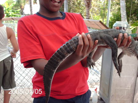 JUSTIN WITH ALIGATOR IN THE EVERGLADES