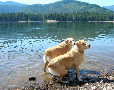 Franny and Zoe at Lake Siskiyou, CA