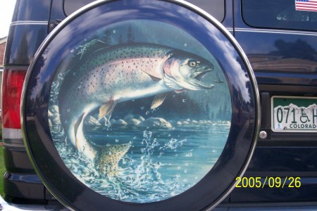 spare tire cover