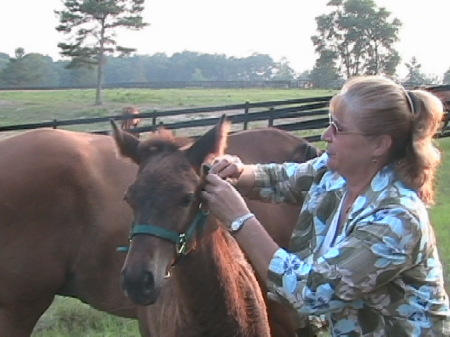 Lacys first day in a halter