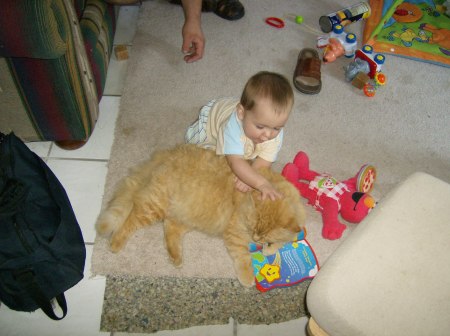 Baby loves Kitty