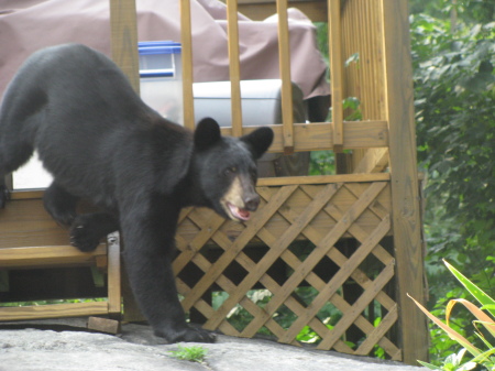 Just about dinner time