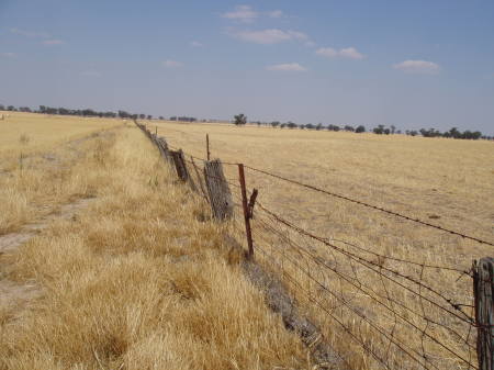 New South Wales rural landscape
