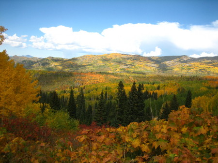 Fall in Steamboat Springs, CO