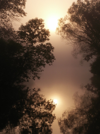 Greenfield Park Lagoon