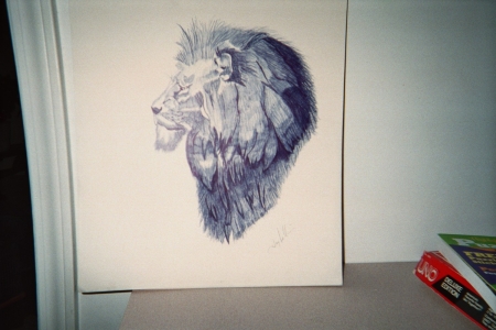 Lion done in ink