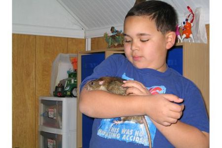 A Boy and His Rat