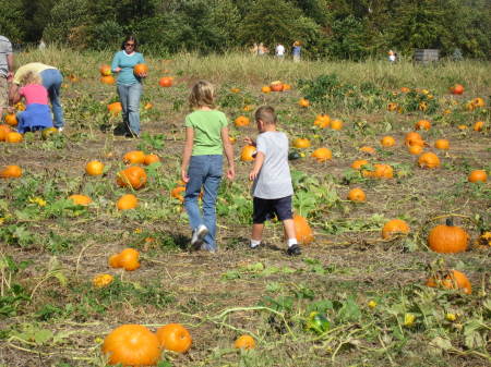 huber's farm - pumkin hunting 01