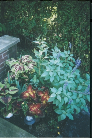 driveway composition