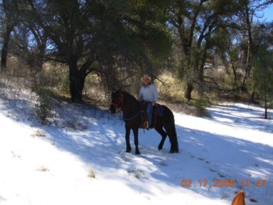 2008 Trail ride in Cuyamaca Mountains