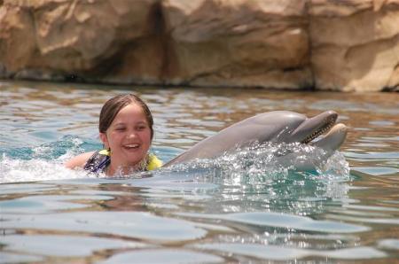 rachel rides dolphin