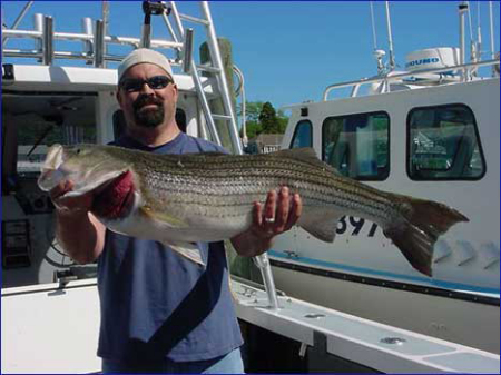 Striper caught in the East Coast