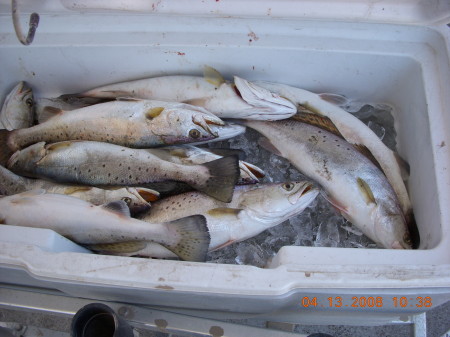 Some nice specks