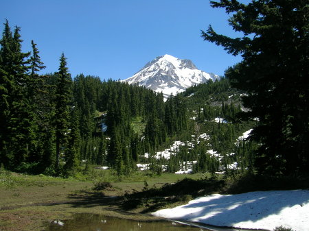 Alan MacDougall's album, Mt Hood, Cairn Basin Hike 7/10