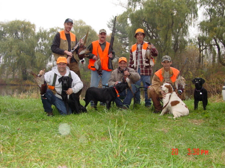 pheasant 08 011