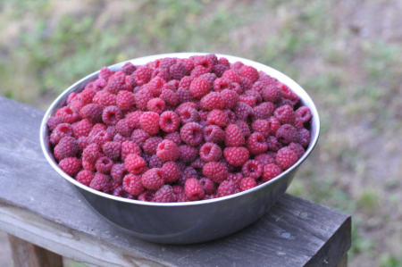 Raspberries