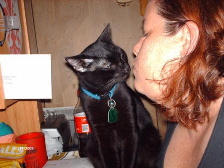 Kitty kisses 2008
