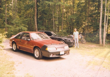 88 gt stang