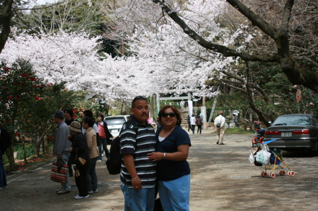 Kamakura City