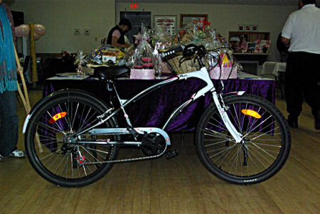 Canadian Breast Cancer Foundation Bicycle