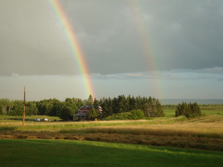 Angel Acres Farm, "Where Heaven Meats Earth